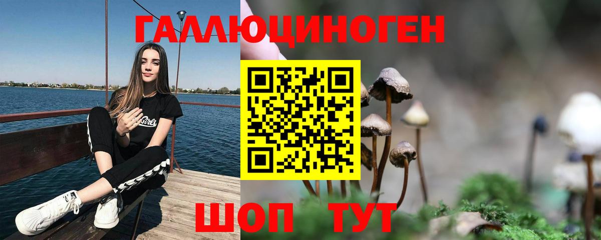 Галлюциногенные грибы Psilocybine cubensis Батайск
