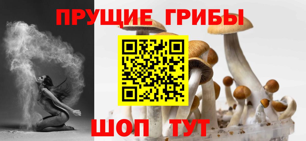 Галлюциногенные грибы ЛСД  Галлюциногенные грибы Psilocybine cubensis  Батайск  Вход с VPN 